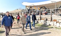 Göbeklitepe'yi 5 ayda 321 bin kişi ziyaret etti