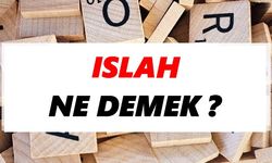 Islah ne demek ?