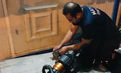 Hatay'da itfaiye ekibi, kedi yavrusunu kalp masajıyla hayata döndürdü