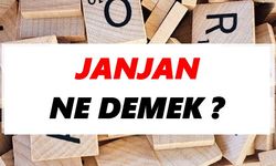 Janjan Ne Demek?