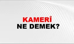 Kamerî ne demek