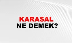 Karasal Ne Demek?