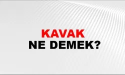 Kavak nedir?