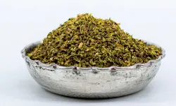 Kekik – Nedir?