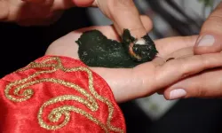 Kınanın Anlamı Ne? Kadına, Askere ve Kurbanlığa Neden Kına Yakılır?
