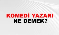 Komedi yazarı ne demek
