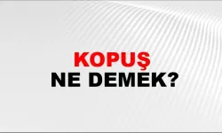 Kopuş ne demek?