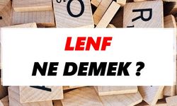 Lenf ne demek?