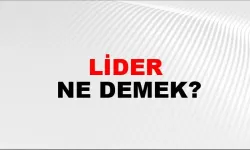 Lider Ne Demek?