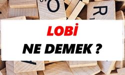 Lobi ne demek