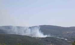 Menteşe’de çıkan yangın kontrol altına alındı