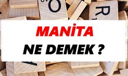 Manita ne demek