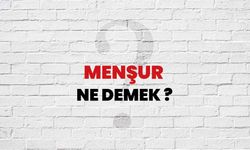 Menşur Ne Demek?