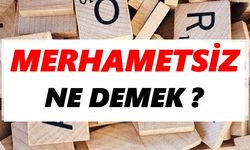 Merhametsiz ne demek?