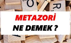 Metazori ne demek ?