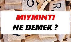 Mıymıntı ne demek?