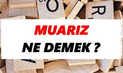 Muarız ne demek