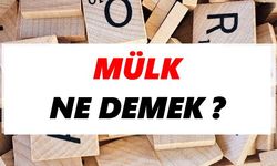 Mülk ne demek