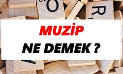 Muzip Ne demek