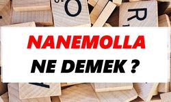 Nanemolla ne demek