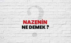Nazenin Ne Demek?