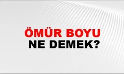 Ömür Boyu Ne demek