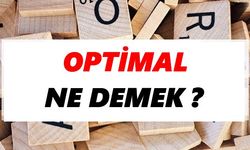 Optimal ne demek?