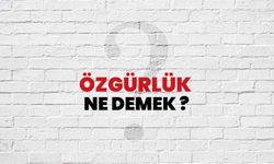 Özgürlük ne demek