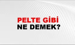Pelte gibi ne demek