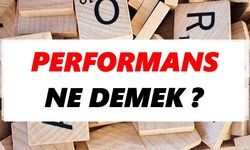 Performans ne demek