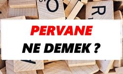 Pervane Ne Demek?