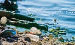 Plastik Kirliliği ile Mücadele: Geri Dönüşüm Gerçekten İşliyor mu?