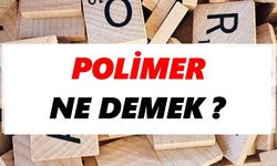 Polimer ne demek