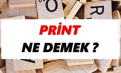 Print ne demek