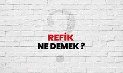 Refik Ne Demek?