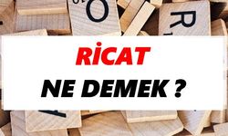 Ricat Ne Demek?