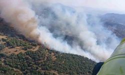 Söke’deki yangın kontrol altına alındı