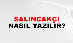 Salıncakçı ne demek