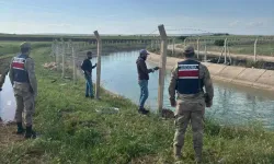 Şanlıurfa'da tehlikeli sulara giren 231 kişiye 688 bin lira para cezası