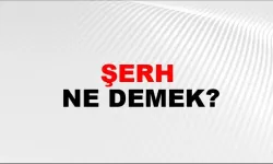Şerh Ne Demek? Anlamı ve Kullanım Alanları