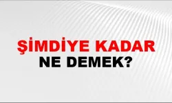 Şimdiye kadar ne demek