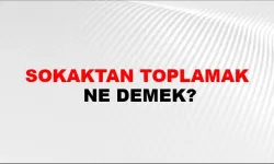 Sokaktan toplamak ne demek ?