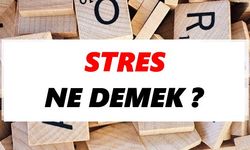 Stres Her Yaşta Hayatı Etkiliyor