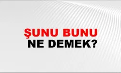 Şunu bunu ne demek
