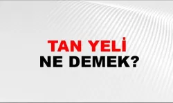 Tanyeli ne demek