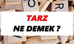 Tarz ne demek?