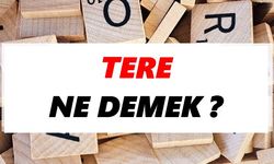 Tere ne demek ?