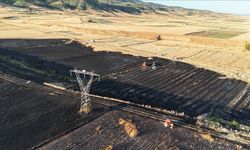 Amasya’da tarım arazisinde çıkan yangında yaklaşık 80 dönüm alan zarar gördü
