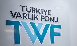 Kamu sigorta ve emeklilik şirketlerinin satın alma ve birleşme süreci tamamlandı