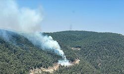 Manisa'da kontrol altına alınan orman yangını yeniden başladı